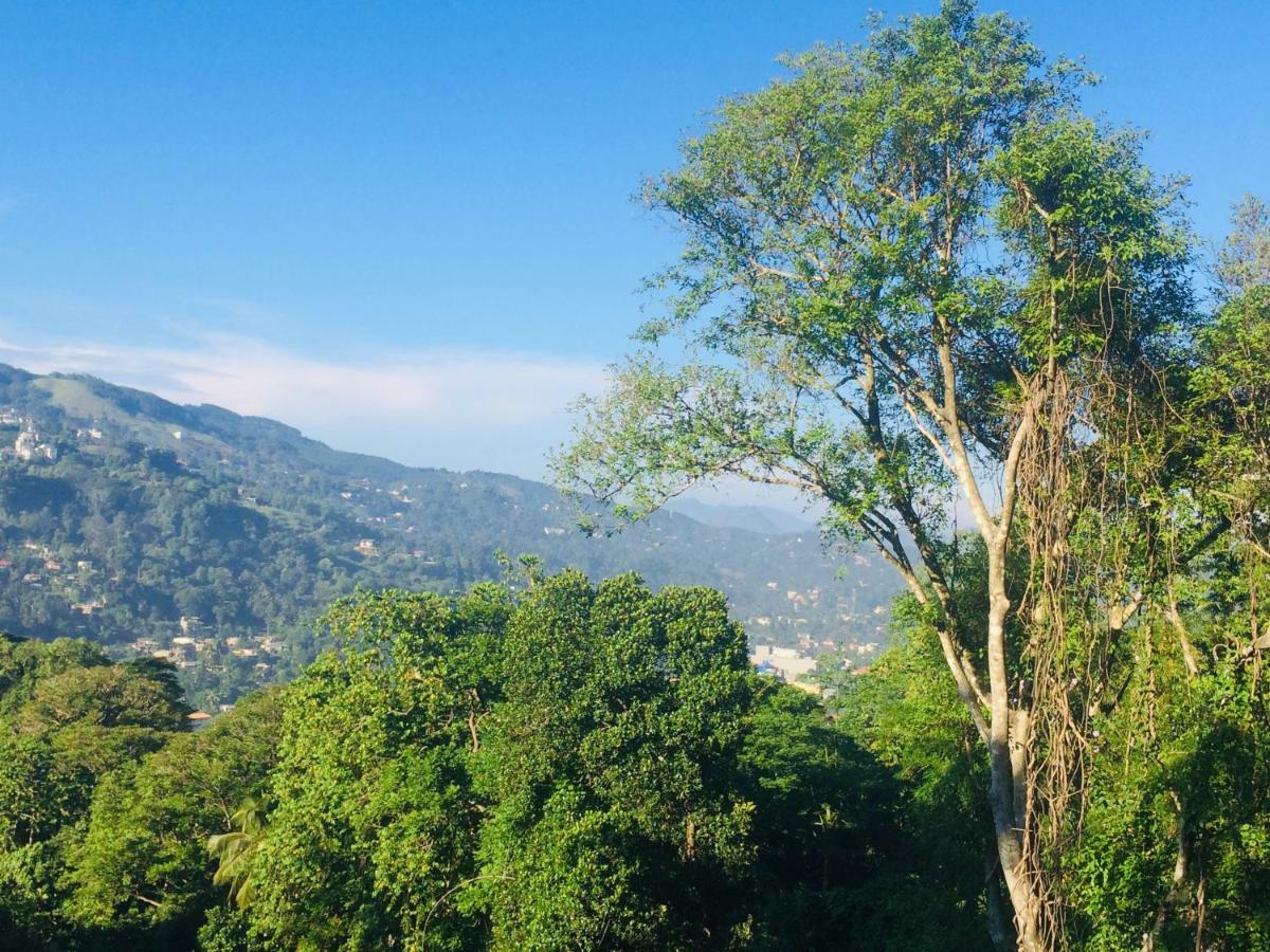 Selyna Sky Terrace Bed & Breakfast Kandy Exterior photo