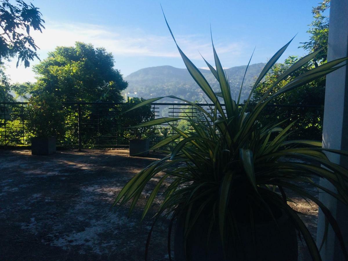 Selyna Sky Terrace Bed & Breakfast Kandy Exterior photo